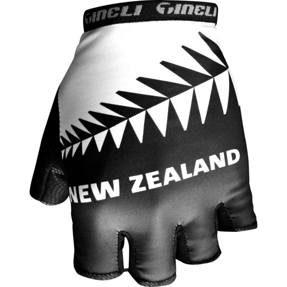 017 NZ glove